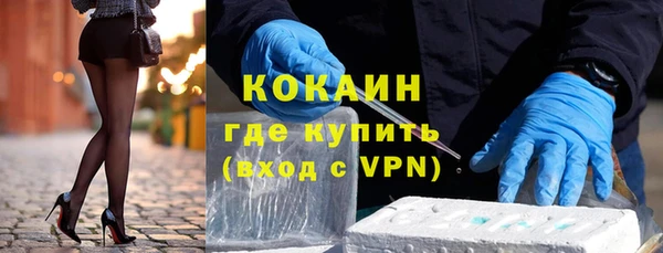 молекула духа Елизово
