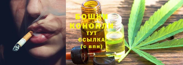 молекула духа Елизово
