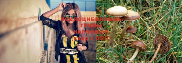 молекула духа Елизово