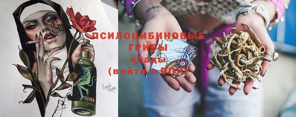 молекула духа Елизово