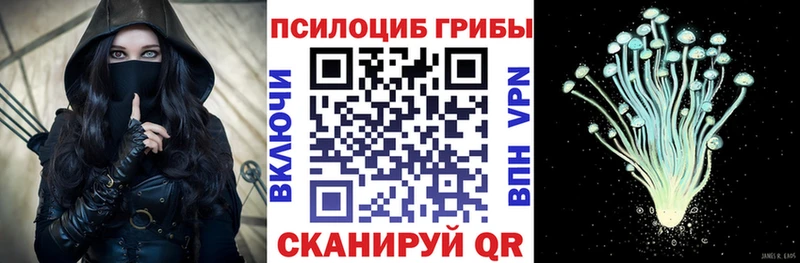 Псилоцибиновые грибы MAGIC MUSHROOMS  Купить закладки  Сокол 